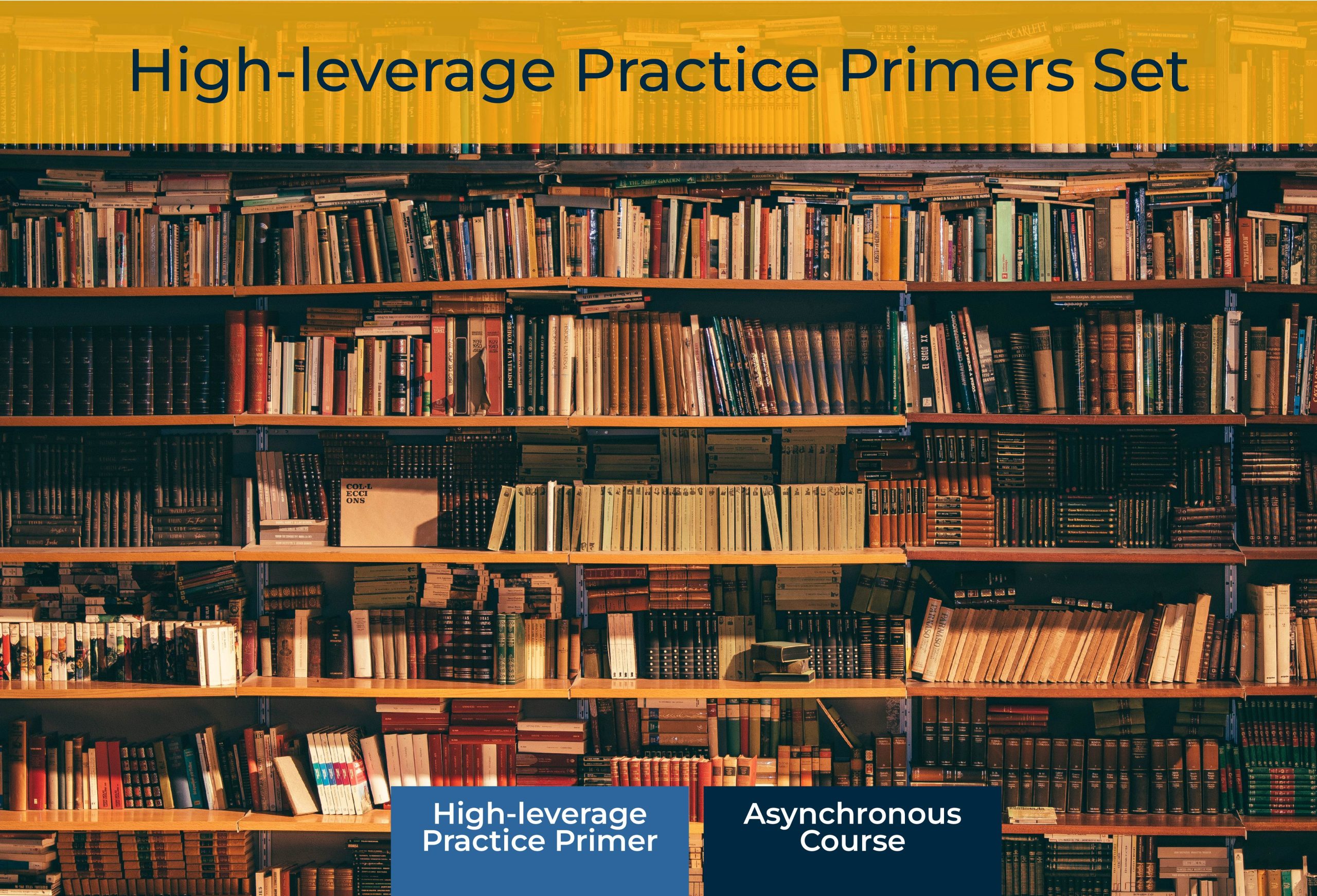 High-Leverage Practice Primers   
